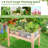 Avalynn Elevated Planter