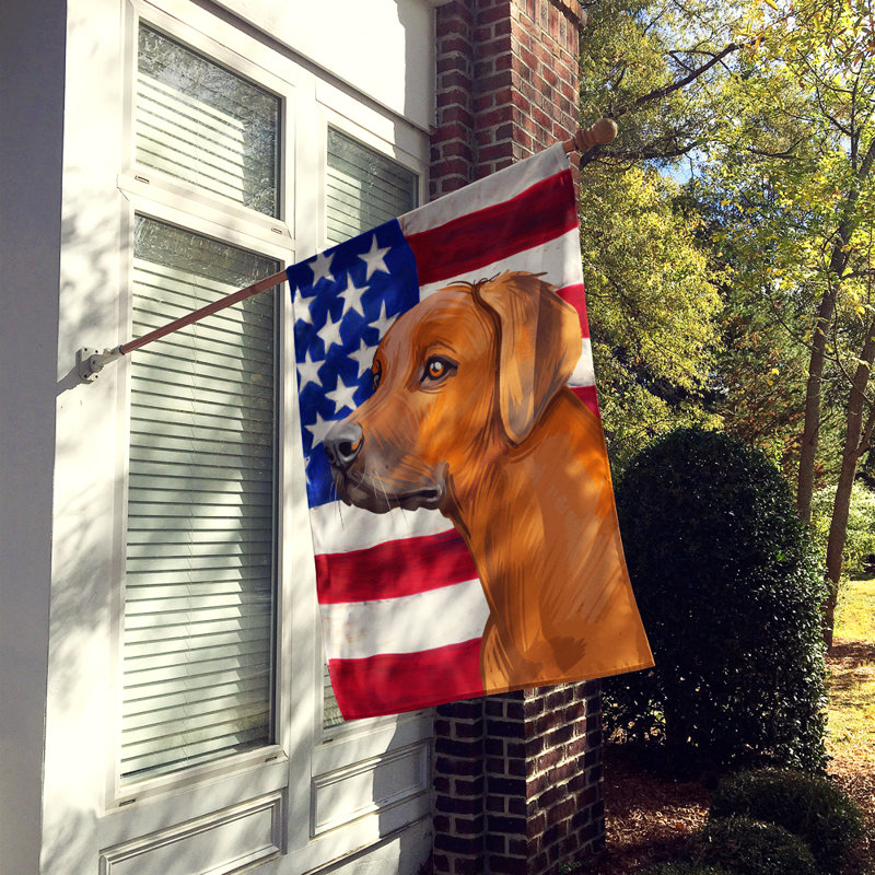 Polyester à 2 côtés 28 x 40 po drapeau maison, Chien de Rhodésie à crête dorsale