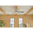 Lucian 60'' Ceiling Fan with LED Lights-715556766