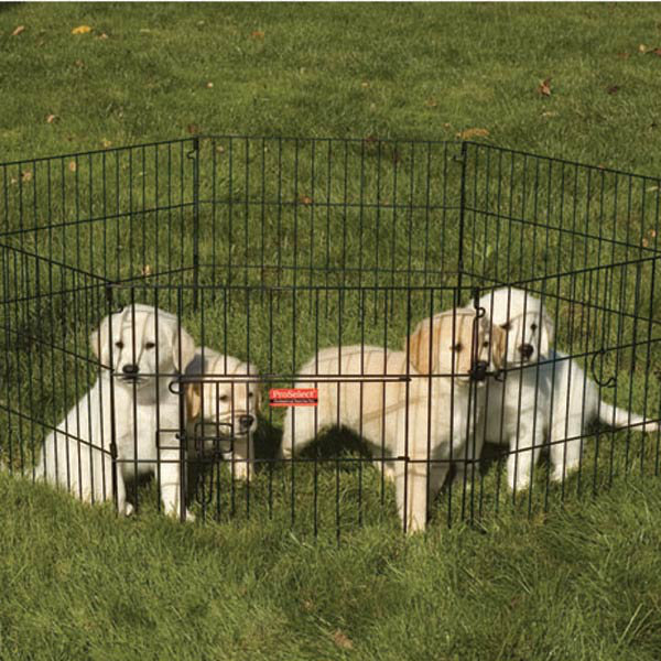 Black Metal Dual Locking Dog Exercise Pen with Door