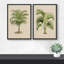 Vert tropical, palmier, illustrations, art moderne, décor botanique minimaliste-101185906-101185907