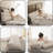 Teddy Velet Ergonomic Triangular Bed Rest with 2 Head Roll Pillows-112474243-112474247