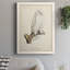 Salamanca French Owls IV - reproduction de photo sur toile-88378414-88378420