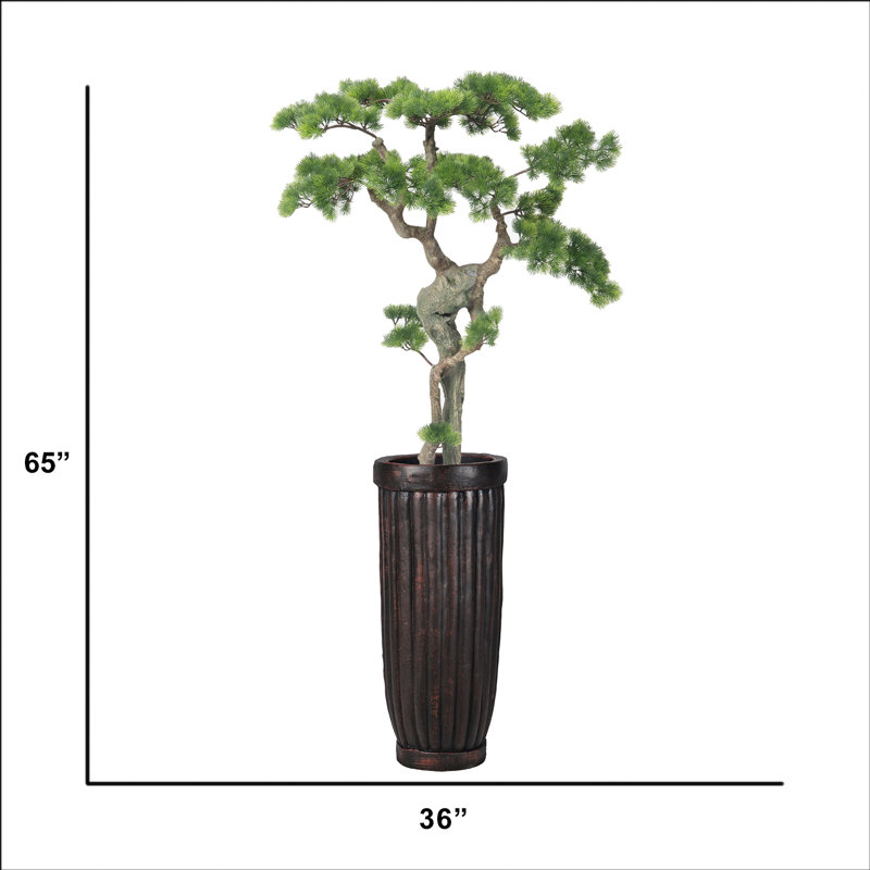 65"H Real-touch beauty Bonsai
