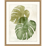 Elephant Ears 2 Print
