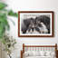 Chevaux sauvages - Photographie avec cadre photo-2049960916-2049960919