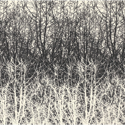 Papier peint Birches