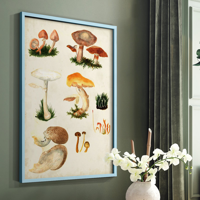 «Mushroom Species IV», reproduction encadrée - bois massif, H 10 po x l 8 po, Bleu