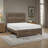 Claudette Low Profile Standard Eastern King Bed-2039921839-2130145606
