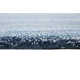 Evers Handmade Tufted Wool Denim Blue/Ivory Area Rug