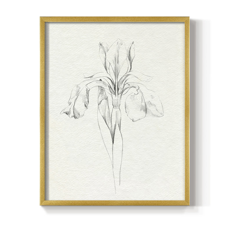 «Neutral Iris S croquis I», reproduction encadrée - bois massif, Or, H 14 po x l 11 po
