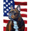 2 côtés en polyester de 2 côtés american drapeau de jardin-1288238477