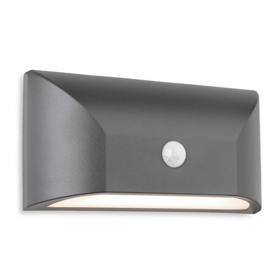 Apicella Graphite 113cm H Integrated LED Outdoor Sconce