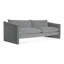 Softmore Sofa-981682251-981682255