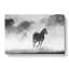 Horses - Wrapped Canvas-56635291