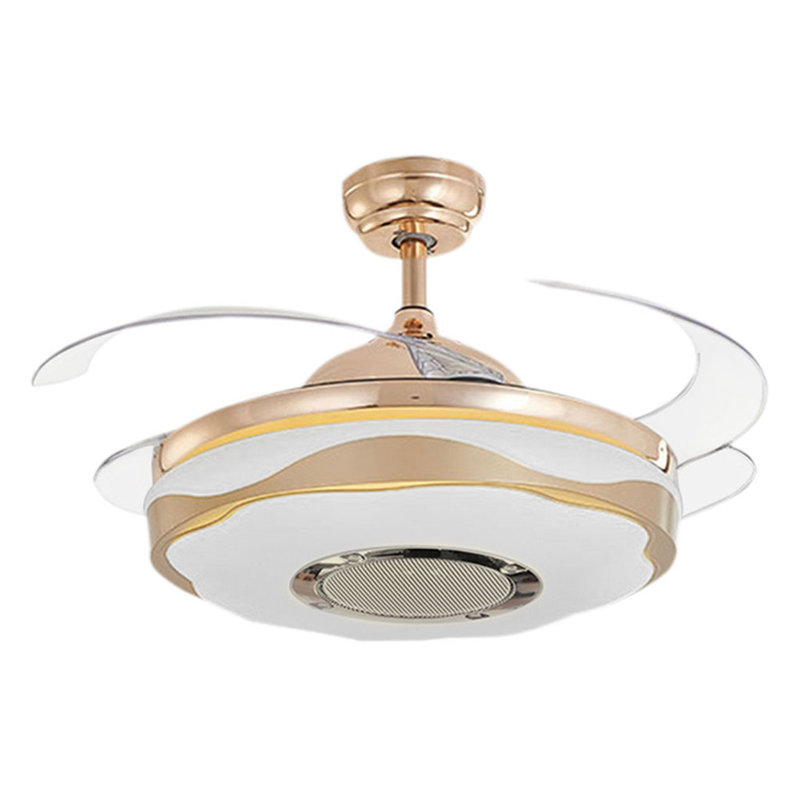 Anniah Ceiling Fan with LED Lights