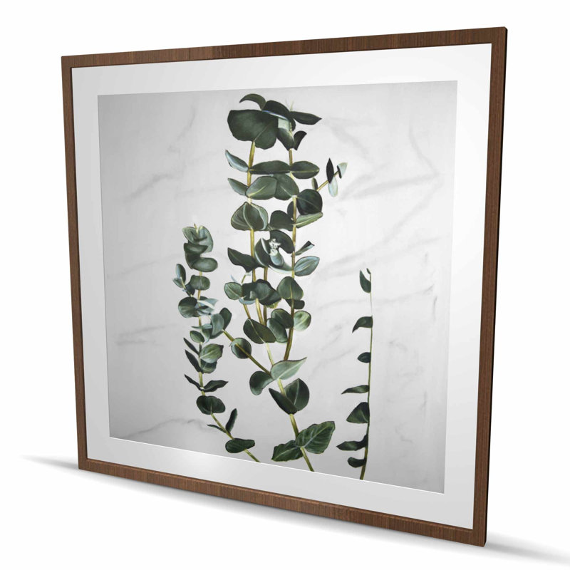 Tiges d'eucalyptus - chambre à coucher encadrée, Brun