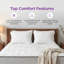 Matelas hybride ferme 10 "/ 12" / 14 "- Wayfair-20292874-123514114