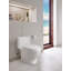 Nexus® 1 GPF (Water Efficient) Elongated One-Piece Toilet (Seat Included)-48006152