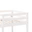 Albertine Loft Bed Bed Frame with Trundle Included-604833318-604833312