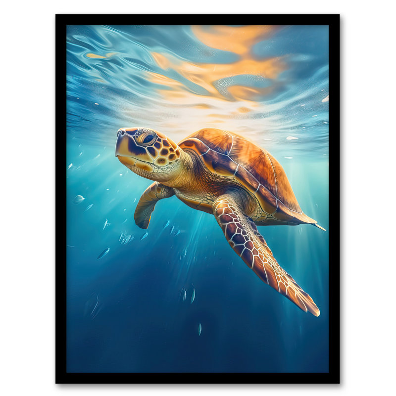 Sea Turtle Barbados Marine Swimming Blue Clear Water - Single Picture Frame Print