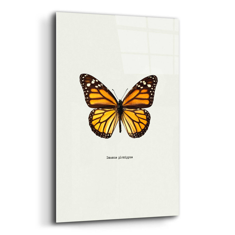 «Yellow Butterfly» par Graphinc, impression non encadrée, H 16 po x l 12 po x P 0,13 po