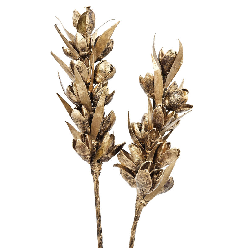 2 Piece Bakuli Pine Stick   Set of 6   23.5"   Gold