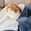 Bedsure Soft Sherpa Fleece Throw Blanket-1928524753-1928524777