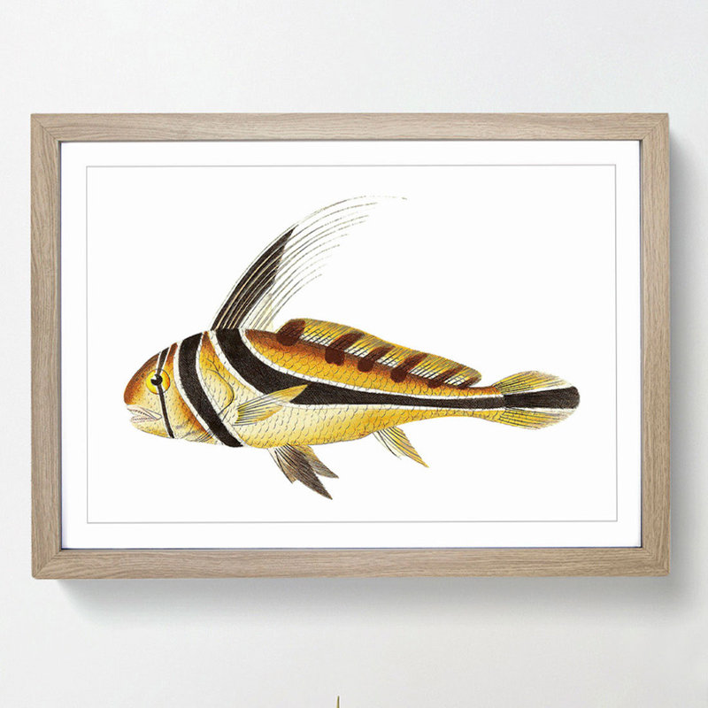 Knight Fish by George Shaw - Framed Print, 36cm H x 48cm W x 2cm D, Oak Framed