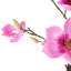 110Cm Artificial Magnolia Tree Plant in Pot-88685045-124076865
