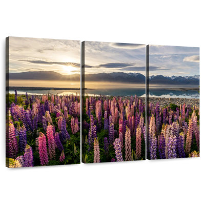 Harnek Lupin, coucher de soleil