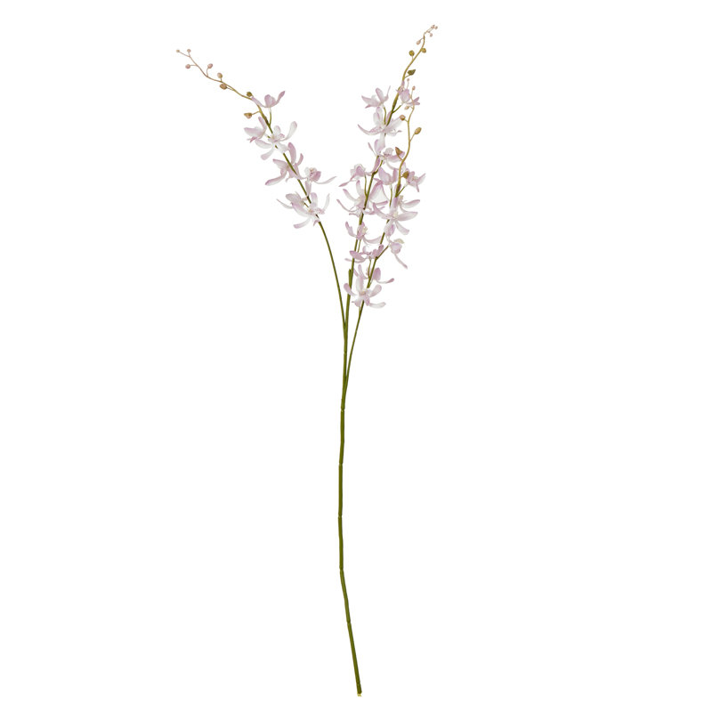 Anastasija Arrangement, Pink