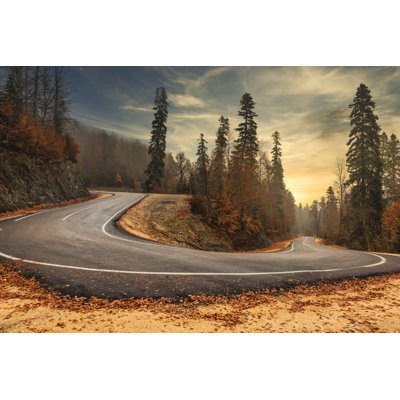 Forest Road in Autumn 1 Piece Wrapped Canvas Wall Art