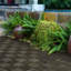 10 tuiles de terrasse en bois d'acacia emboîtables à motif damier brun foncé pour patio