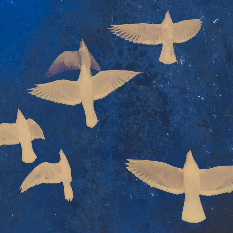 Flying High Pair, 30" H x 45" W, Black