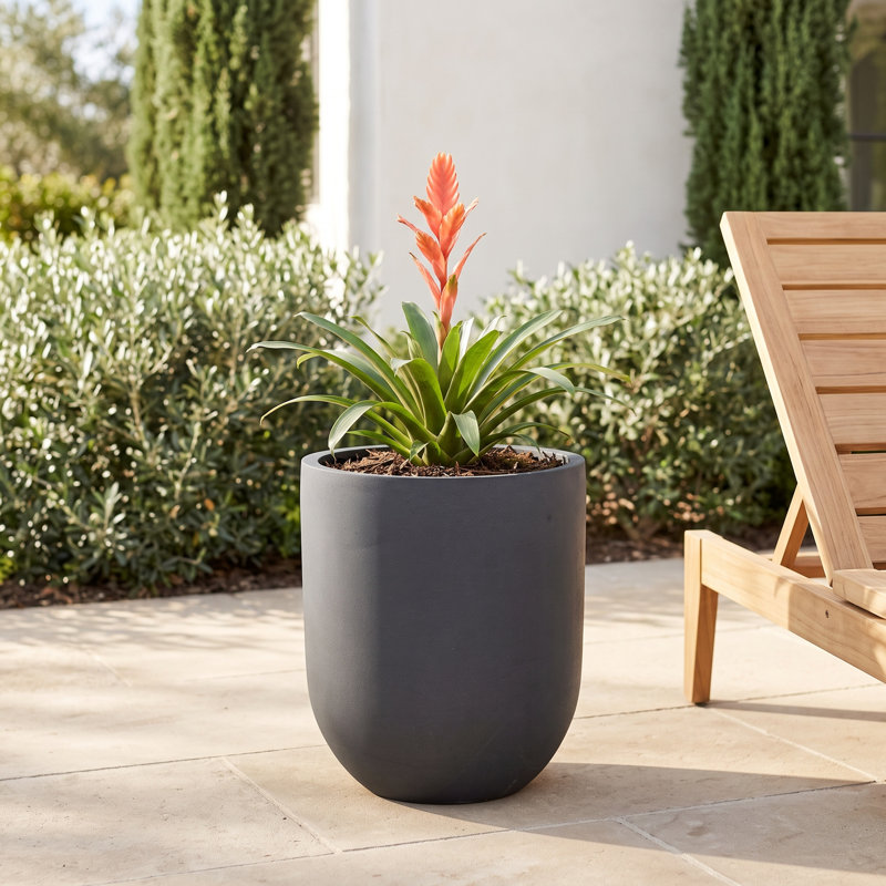 Ceola Planter, 21.5" H x 18" W x 18" D