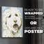 Labradoodle II - Impression sur toile seulement - NON CADRE-117859504