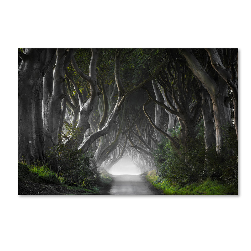 Art mural sur toile tendue - Nicola Molteni «Dark Hedges», art mural pour salon, chambre à coucher ou bureau - 12 x 19