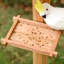 One-of-a-Kind 139 cm Bird Play Stand for Floor
