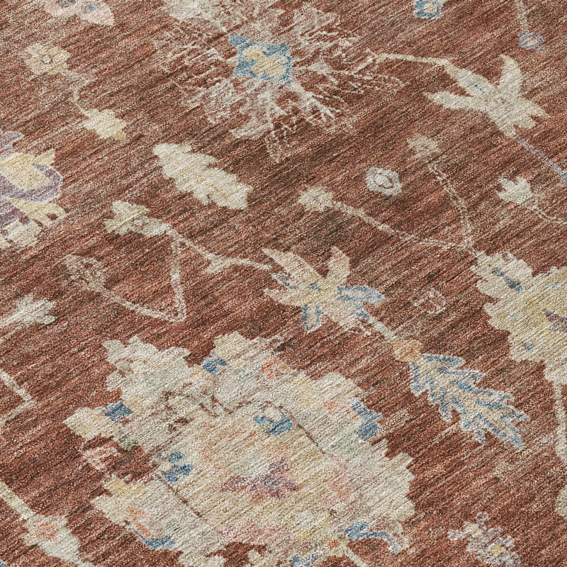Machine Washable Indoor/Outdoor Francky ACN2355 Traditional Rug, Rectangle 10' x 14'
