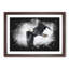 Bald Eagle High In The Sky - Single Picture Frame Print on MDF-56867126-56867127