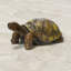 Statue de tortue de jardin