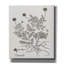  «Botanical Études sur papier C» par Jean Plout, art mural sur toile, 26 po x 30 po-357757947