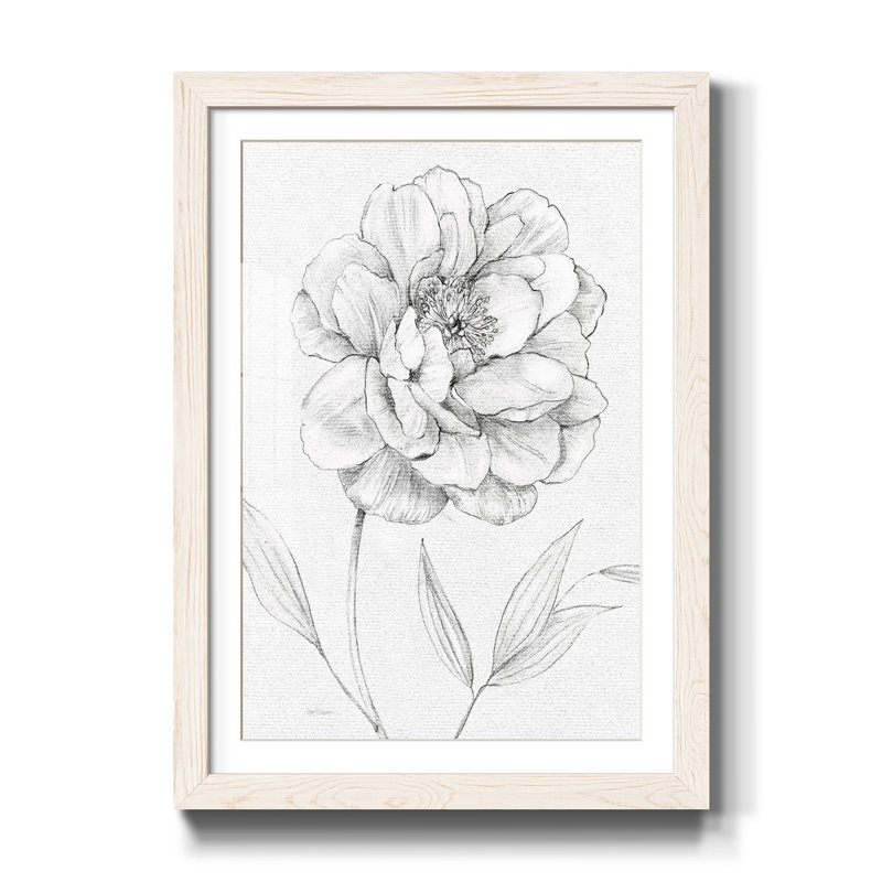 " Peony Sketch ", White, 44" H x 31" W x 1" D