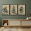 «Arbres solitaires dessin détaillé botanique nature paysage rétro classique rustique Art décontracté» 3 pièces-98695740-98695739