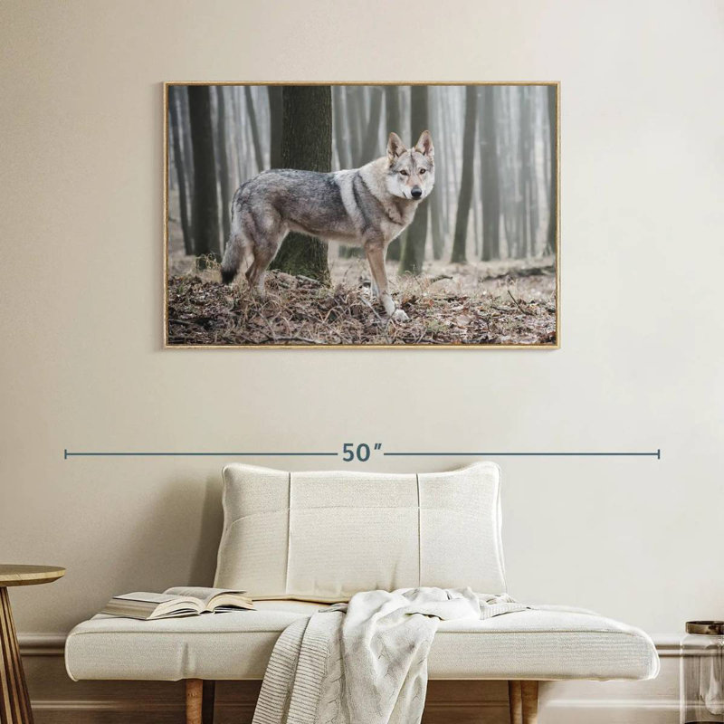Loup d'hiver brumeux, Cadre flottant en bois naturel, 40 po x 27 po