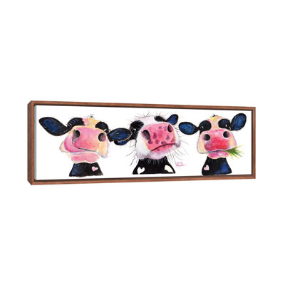 " The Nosey Cows " by Shirley Macarthur