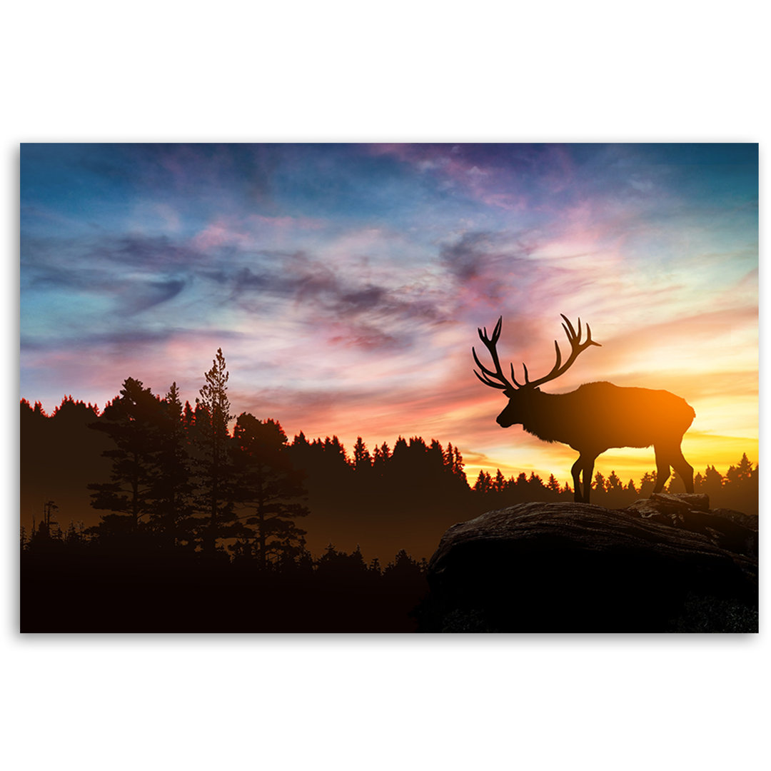 Leinwandbild Deer at Sunset Art