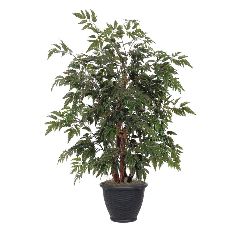 Buisson artificiel Mal Aralia, Brun