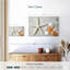 Swept ashore seashells Aletra-107509084